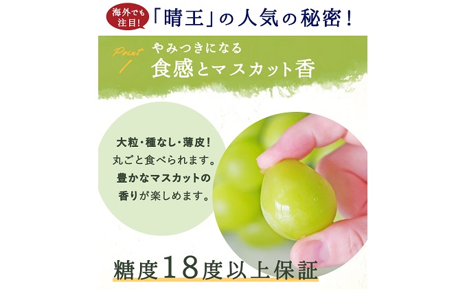 岡山県玉野市のふるさと納税 ぶどう 2025年 先行予約 シャイン マスカット 晴王 1房 950g前後 ブドウ 葡萄  岡山県産 国産 フルーツ 果物 ギフト 岡山のブドウ デザート 食べ物 日本産