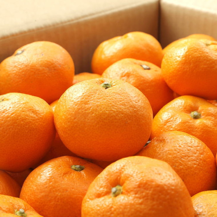 【ブランドみかん】田村みかん約5kg（2Lサイズ・秀品）
※2025年11月下旬～12月下旬頃に順次発送予定