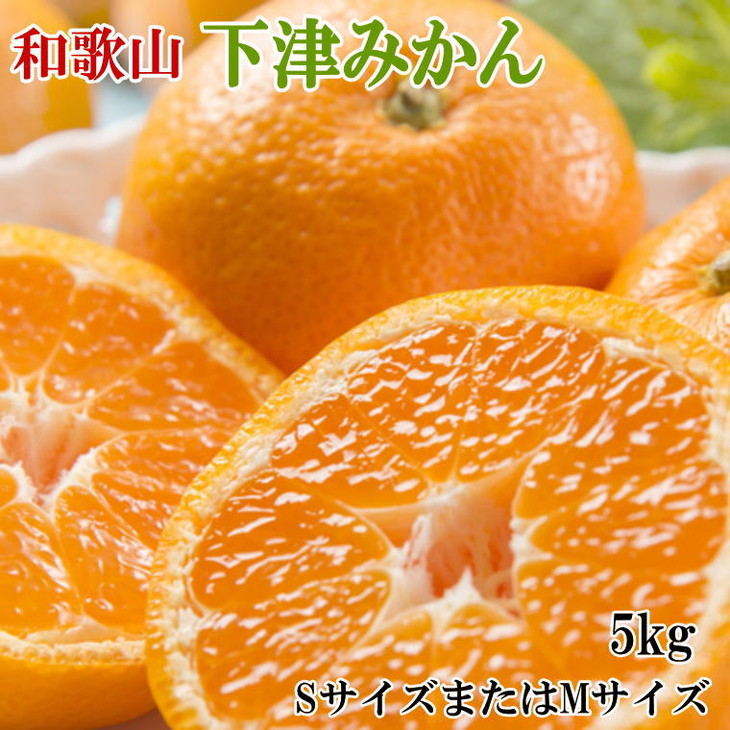 【和歌山県美浜町】【産直・秀品】和歌山下津みかん約5kg(SサイズまたはMサイズのいずれかをお届け) ※2025年11月中旬〜2026年1月中旬頃に順次発送予定