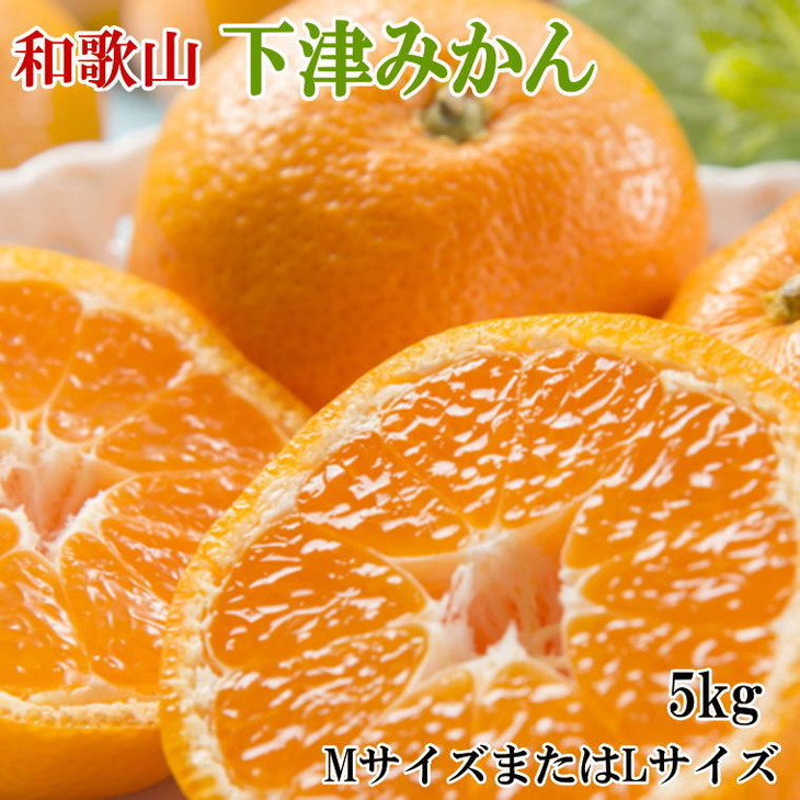 【和歌山県美浜町】【産直・秀品】和歌山下津みかん約5kg(MサイズまたはLサイズのいずれかをお届け) ※2025年11月中旬〜2026年1月中旬頃に順次発送予定