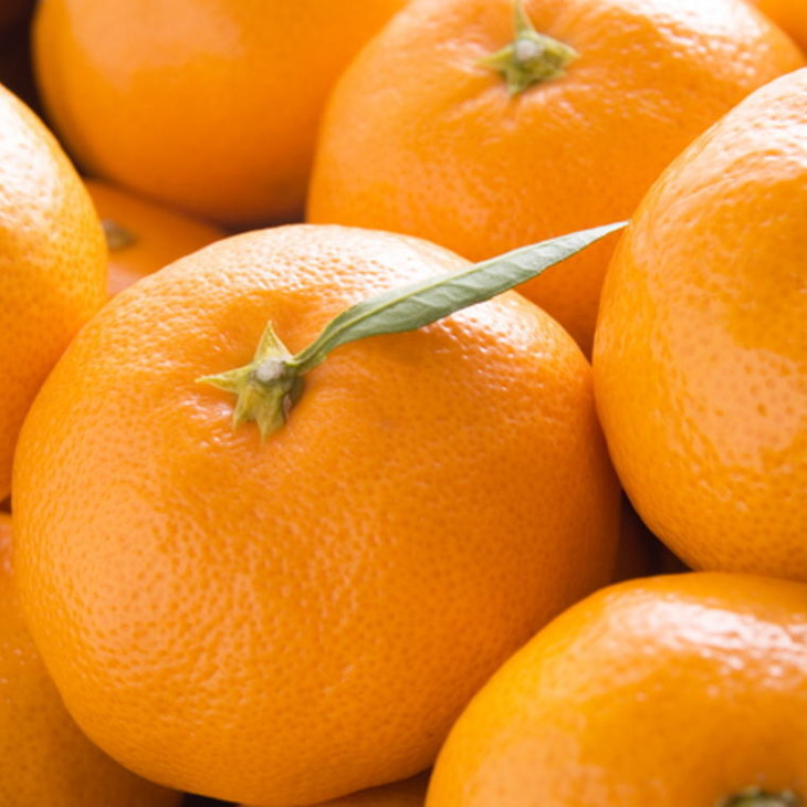 【産直・秀品】和歌山下津みかん約5kg（MサイズまたはLサイズのいずれかをお届け） ※2025年11月中旬～2026年1月中旬頃に順次発送予定