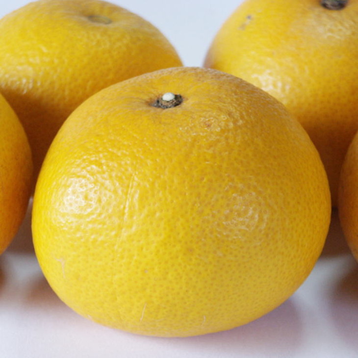 【手選果】有田産の八朔10kg（Lまたは2Lサイズいずれかお届け） ※2026年1月下旬～2月下旬頃に順次発送予定