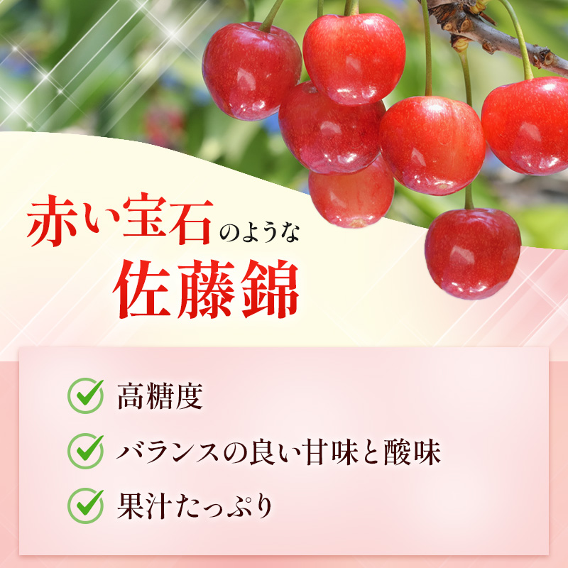 北海道 仁木町産 さくらんぼ 佐藤錦 1kg（500g×2）Lサイズ以上