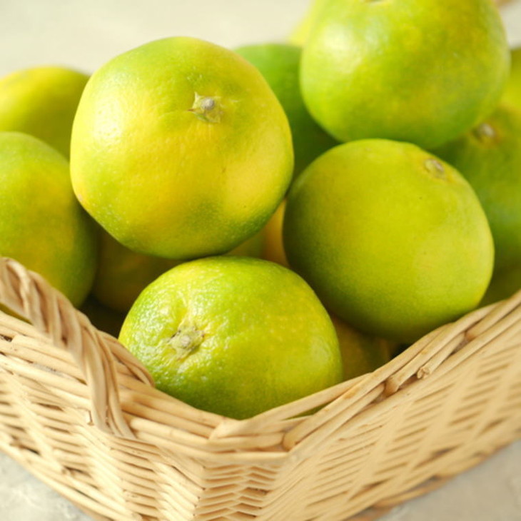 有田産極早生みかん約5kg（サイズ混合）