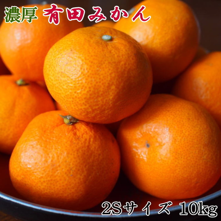 【先行予約】【産直・秀品】 和歌山 有田みかん 10kg（2Sサイズ）
※2025年11月中旬～2026年1月中旬頃に順次発送予定