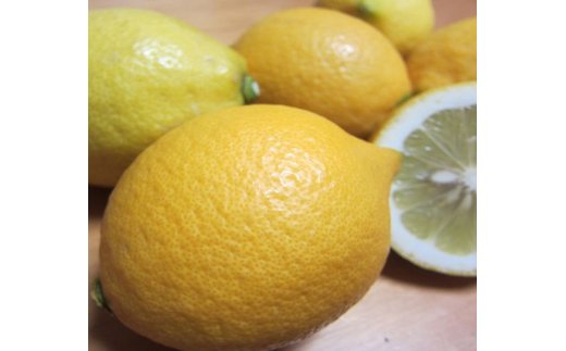 AB6066n_【国産】紀州和歌山産 有田レモン 1kg (サイズ混合)【国産 レモン 柑橘 フルーツ 和歌山】