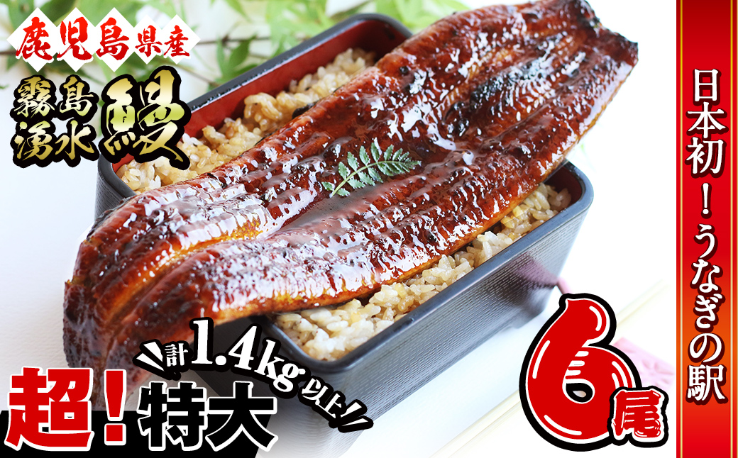 【数量限定】超特大！鹿児島県産 山田水産の