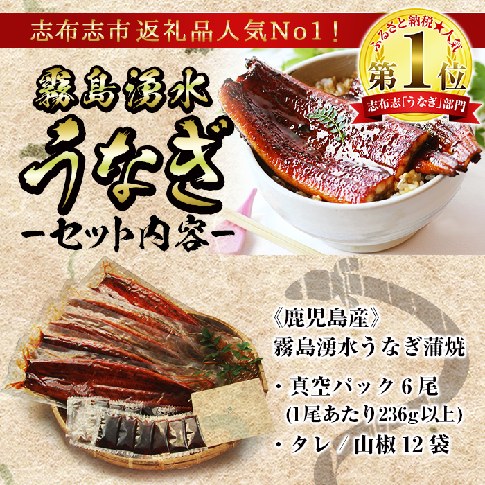 鹿児島県志布志市のふるさと納税 【数量限定】超特大！鹿児島県産 山田水産の霧島湧水鰻(計1400g以上・236g以上×6尾) c5-039