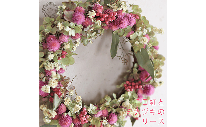 富良野 花七曜 千日紅とミナヅキのリース ◇ ドライフラワー