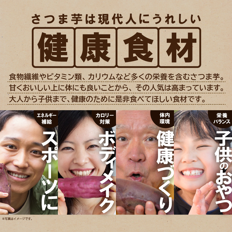 宮崎県延岡市のふるさと納税 安納芋干しいも120g×8袋 N0152-YZA0181