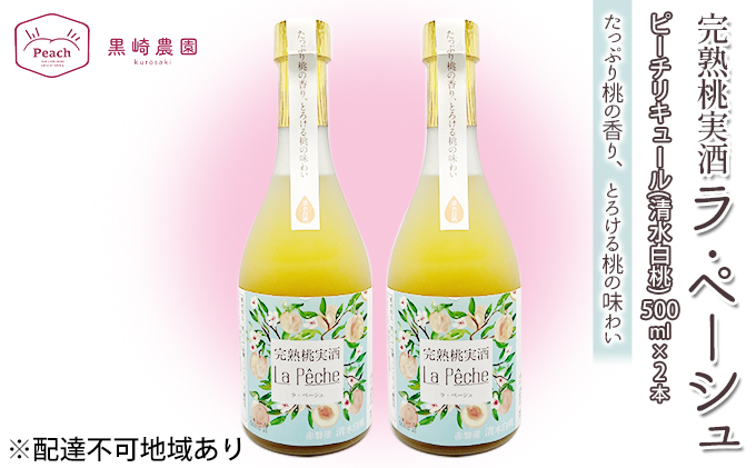 yRԔ֎sz   Ey[V   500ml×2{ Zbg R Ԕ֎sY ʕ t[c s[` L[ m t[ĉ ̃L[