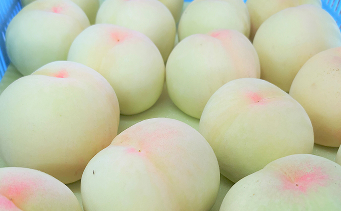 飲み物 フルーツ 翠果撰 岡山 清水白桃 ドリンク 3本(1本200ml) 化粧箱入り 果物 果汁 飲料 ピーチ ジュース 上品 甘み 香り フレッシュ 愛情 美味しい 