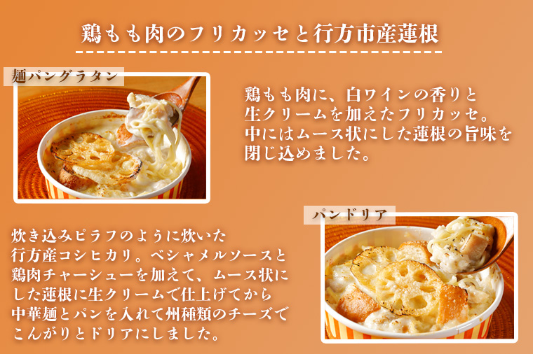 茨城県行方市のふるさと納税 EO-2　グラタン　行方市の食材で、麺とパンのグラタン＆ドリア8種セット