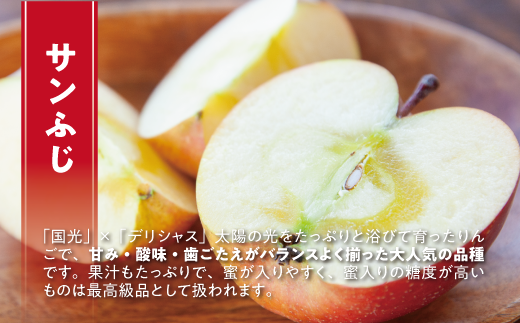 長野県飯綱町のふるさと納税 りんご サンふじ 訳あり 10kg 令和7年度収穫分 沖縄県への配送不可 2025年12月上旬頃から2025年12月下旬頃まで順次発送予定 宮本ファーム エコファーマー 減農薬栽培 長野県 飯綱町 [1492]