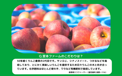 長野県飯綱町のふるさと納税 りんご サンふじ 訳あり 10kg 令和7年度収穫分 沖縄県への配送不可 2025年12月上旬頃から2025年12月下旬頃まで順次発送予定 宮本ファーム エコファーマー 減農薬栽培 長野県 飯綱町 [1492]