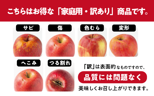 長野県飯綱町のふるさと納税 りんご サンふじ 訳あり 10kg 令和7年度収穫分 沖縄県への配送不可 2025年12月上旬頃から2025年12月下旬頃まで順次発送予定 宮本ファーム エコファーマー 減農薬栽培 長野県 飯綱町 [1492]