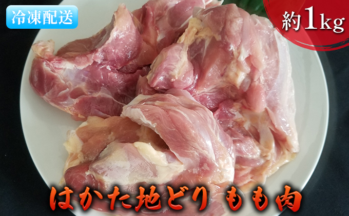 【福岡県朝倉市】鶏肉 もも肉 約1kg はかた地どり お肉 国産 日本産 国産鶏肉 料理 調理 食材 食べ物 肉料理 夕飯 おかず チキン 鍋物 ソテー 揚げ物 炒め物