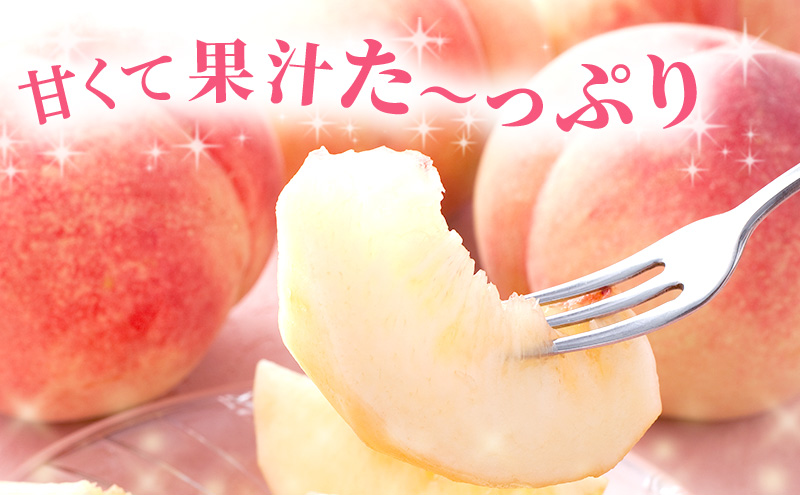 【 2026年 先行予約】 桃 岡山県産 あかつき 約1.5kg(5～7玉) 《2026年7月上旬-中旬頃出荷》 白桃 岡山 はくとう スイーツ フルーツ 果物 先行予約 数量限定 期間限定 岡山 里庄町 モモ もも 桃 