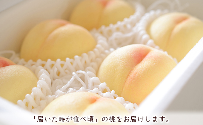 【 2026年 先行予約】 桃 岡山県産 清水 白桃 約2kg(6～8玉) 《2026年7月中旬-8月上旬頃出荷》 白桃 岡山 はくとう スイーツ フルーツ 果物 先行予約 数量限定 期間限定 岡山 里庄町 モモ もも 桃 