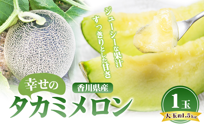 幸せの「タカミメロン」1玉（大玉） フルーツ 果物 