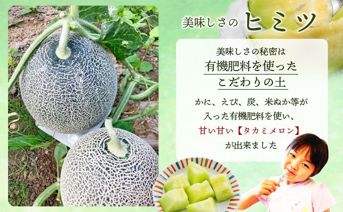 幸せの「タカミメロン」1玉（大玉） フルーツ 果物 