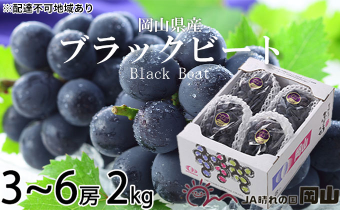 ぶどう 2025年 先行予約 ブラックビート 約2kg 3房～6房 ブドウ