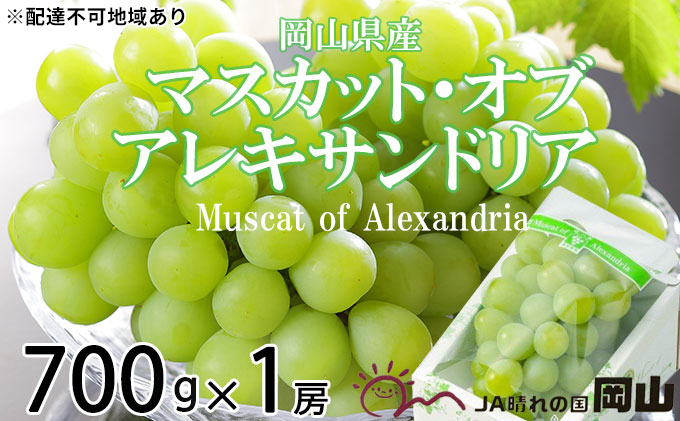 【岡山県瀬戸内市】ぶどう 2026年 先行予約 マスカット ・オブ・アレキサンドリア 約700g×1房 ブドウ 葡萄  岡山県産 国産 フルーツ 果物 ギフト 岡山のぶどう 豊かな香り デザート 食後