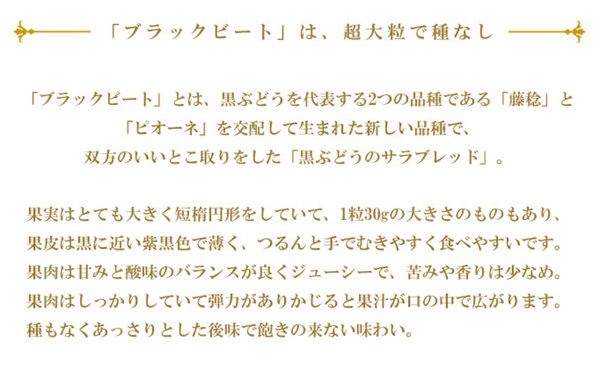 ぶどう 2026年 先行予約 ブラックビート 約1.5kg 3～6房 ブドウ 葡萄  岡山県産 国産 フルーツ 果物 ギフト 岡山のぶどう 岡山の果物 デザート 食後 種無し 大粒 甘味 酸味 バランス 