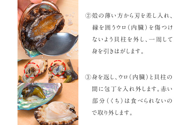 礼文島産　凍結島アワビ 120g以上 3個 魚貝類 魚介類 鮑利尻昆布 良質 瞬間冷凍 磯の香り コリコリ 獲れたて 甘い 贈り物 