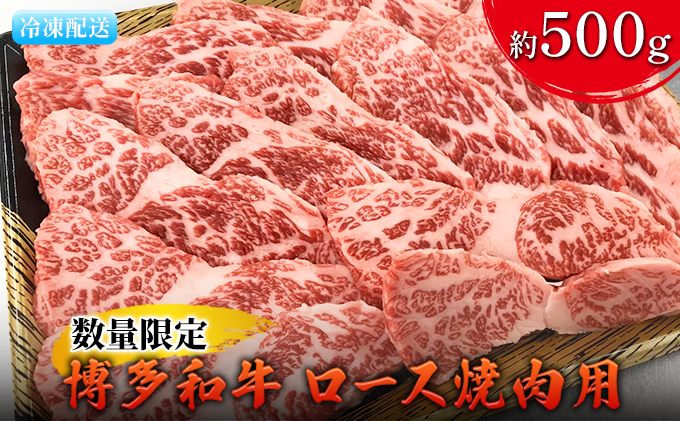 数量限定 牛肉 博多和牛 ロース 焼肉用 約500g 配送不可 離島 お肉 霜降り やわらかい きめ細かい 国産 国産牛 おうち焼肉 肉料理 食材 食べ物 グルメ 