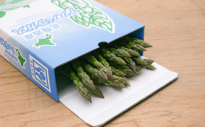 【2026年春発送】北海道 富良野産 アスパラガス M～2Lサイズ混合 約1.5kg 露地栽培 (山本農園) 野菜 新鮮 直送 朝採り アスパラガス 道産 北海道 ふらの 