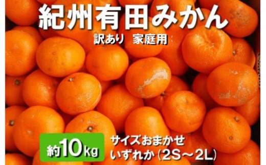 紀州有田みかん　約10kg (2S～2L) サイズおまかせ いずれか【訳あり 家庭用】