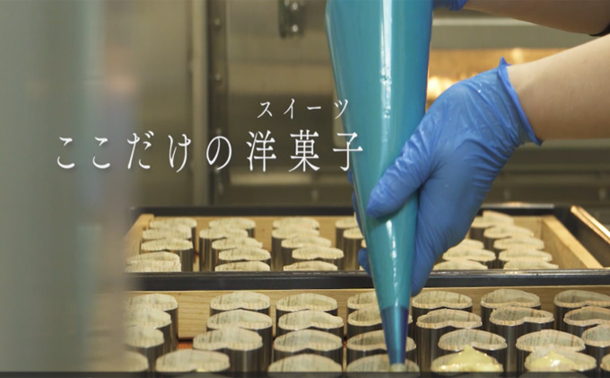 【テレビで紹介されました！】愛知牧場 冷凍スイーツセット（アイスクリーム 12個・カタラーナ 2箱・半熟 チーズケーキ 2箱） お菓子 焼菓子 フルーツ 新鮮 ミルク バニラ チョコ いちご 抹茶