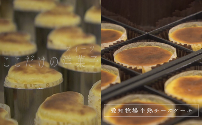 【テレビで紹介されました！】愛知牧場 冷凍スイーツセット（アイスクリーム 12個・カタラーナ 2箱・半熟 チーズケーキ 2箱） お菓子 焼菓子 フルーツ 新鮮 ミルク バニラ チョコ いちご 抹茶