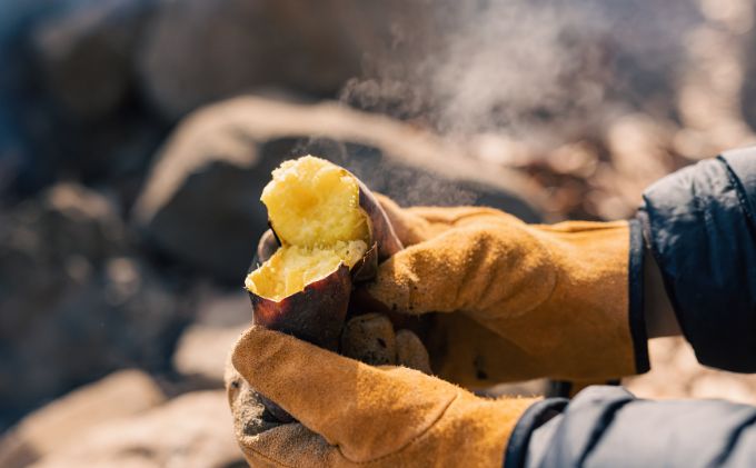 小諸の薪(カラマツ)約12kg　～環境に優しい間伐材使用～ 燃料 キャンプ用品 アウトドア用品 キャンプグッズ アウトドアグッズ 薪ストーブ 針葉樹 焚火 可燃性が高い 