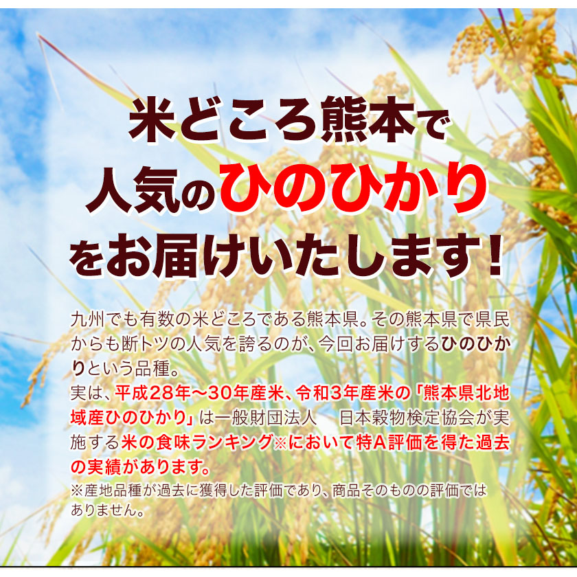 熊本県長洲町のふるさと納税 令和6年産 ひのひかり 選べる精米方法 白米 or 無洗米 5kg 10kg 15kg 20kg《7-14日以内に出荷予定(土日祝除く)》 熊本県産 米 精米 ひの 長洲町
