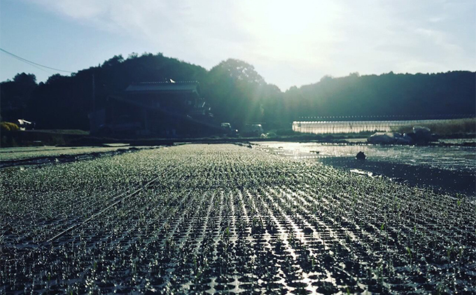 瀬戸内自然栽培 米粉 朝日米 2kg 粉もの 料理 調理 米100％ お菓子作り パン作り 米粉パン 良質 微細粒 自然栽培米使用 朝日米使用 