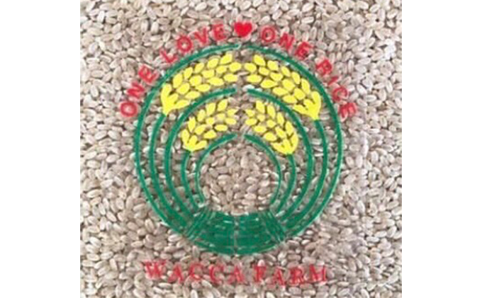 瀬戸内自然栽培 米粉 朝日米 2kg 粉もの 料理 調理 米100％ お菓子作り パン作り 米粉パン 良質 微細粒 自然栽培米使用 朝日米使用 