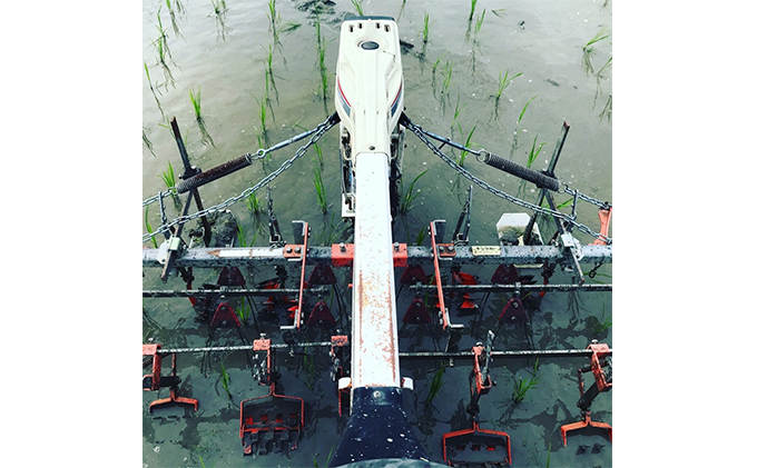 瀬戸内自然栽培 米粉 朝日米 5kg 粉もの 料理 調理 米100％ お菓子作り パン作り 米粉パン 良質 微細粒 自然栽培米使用 朝日米使用 