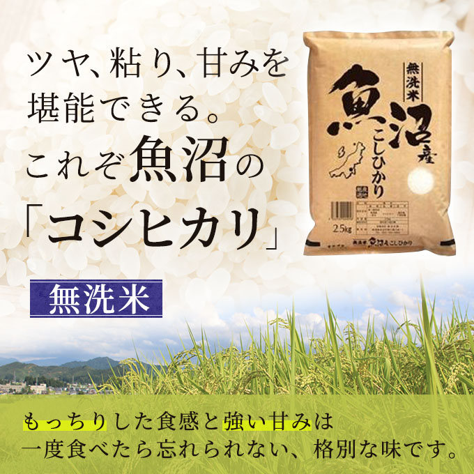 新潟県魚沼市のふるさと納税 令和7年産 雪室貯蔵 無洗米 お米マイスター厳選 魚沼産 コシヒカリ 1等米 2.5kg　米 こしひかり 白米