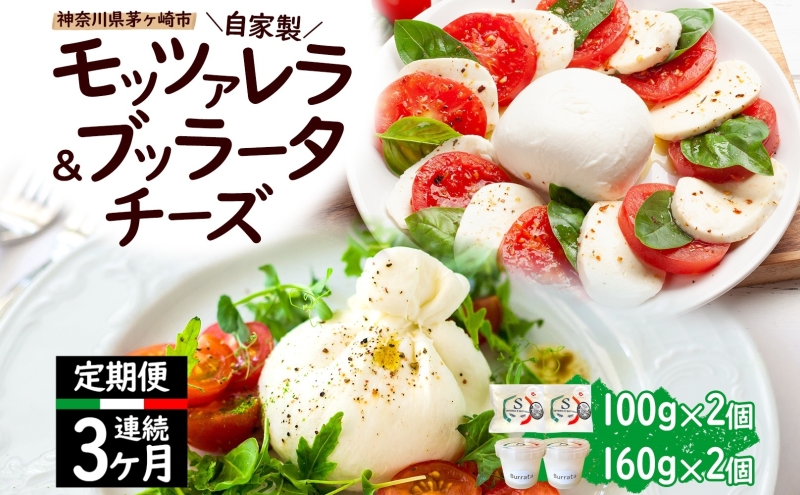 y_ސ쌧sz3 Ɛ `[Y lߍ킹 bc@`[Y 100g  ub[^`[Y180g e2 o _ސ쌧Y ̃`[Y  bc@ ub[^  Osteria e Bottega S _ސ쌧 Ó P tbV`[Y  ܂ sU