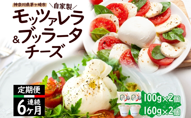 【神奈川県茅ヶ崎市】【6ヶ月定期便】自家製 チーズ 詰め合わせ モッツァレラチーズ 100g  ブッラータチーズ180g 各2個 出来立て 神奈川県産 幻のチーズ  モッツァレラ ブッラータ 手作り Osteria e Bottega S 神奈川県 湘南 茅ケ崎 フレッシュチーズ  おつまみ ピザ