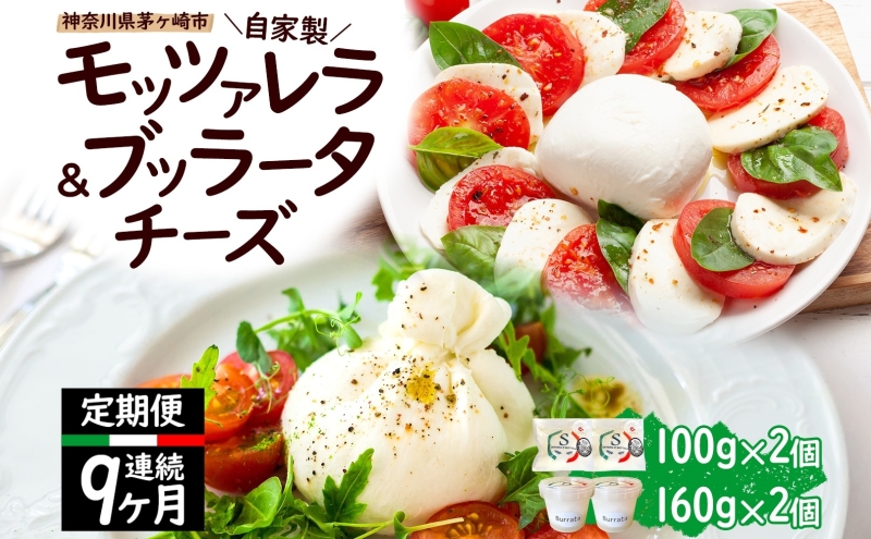 y_ސ쌧szy9ցzƐ `[Y lߍ킹 bc@`[Y 100g  ub[^`[Y180g e2 o _ސ쌧Y ̃`[Y  bc@ ub[^  Osteria e Bottega S _ސ쌧 Ó P tbV`[Y  ܂ sU