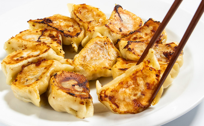 【北海道富良野市】手包みふらの餃子 20個入 (中華 冷凍 即席 食品 簡単 加工品 調理不要 おかず 手作り 道産 富良野 ふらの 北海道 送料無料)