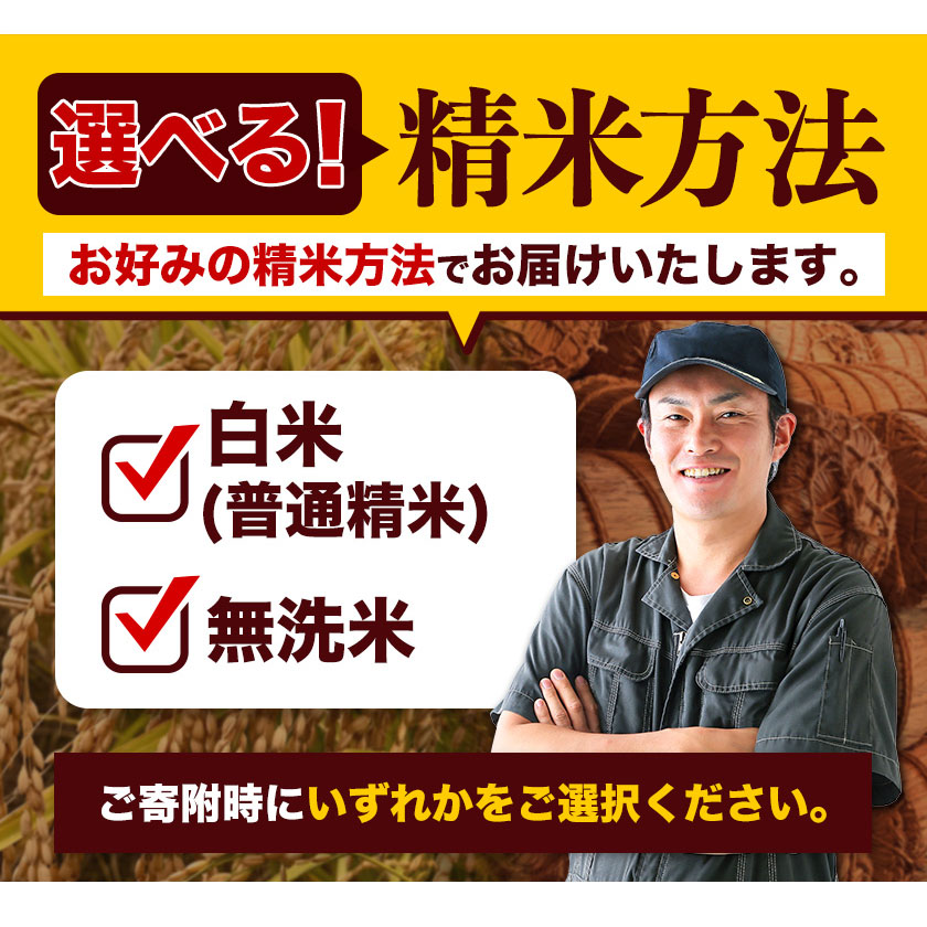 熊本県御船町のふるさと納税 新米 令和7年産 無洗米 も 選べる 森のくまさん 10kg 5kg × 2袋  白米 熊本県産 単一原料米 森くま《10月中旬-12月末頃出荷》《精米方法をお選びください》送料無料