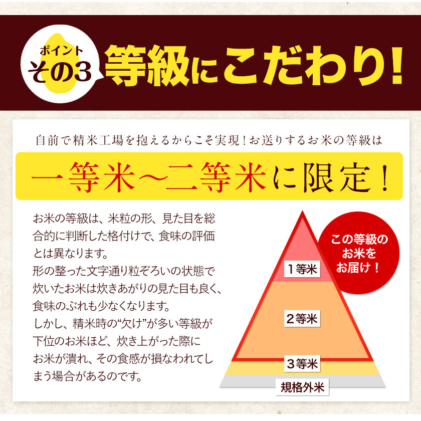 熊本県御船町のふるさと納税 新米 令和7年産 無洗米 も 選べる 森のくまさん 10kg 5kg × 2袋  白米 熊本県産 単一原料米 森くま《10月中旬-12月末頃出荷》《精米方法をお選びください》送料無料