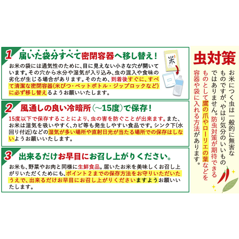 熊本県御船町のふるさと納税 新米 令和7年産 無洗米 も 選べる 森のくまさん 10kg 5kg × 2袋  白米 熊本県産 単一原料米 森くま《10月中旬-12月末頃出荷》《精米方法をお選びください》送料無料