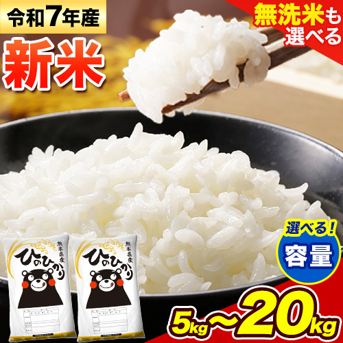 新米 無洗米 も選べる ひのひかり 5kg 10kg 15kg 20kg 令和7年産[10月中旬-12月末頃出荷]熊本県産 ふるさと納税 無洗米 白米 精米 ひの 米 こめ ふるさとのうぜい ヒノヒカリ コメ お米 おこめ