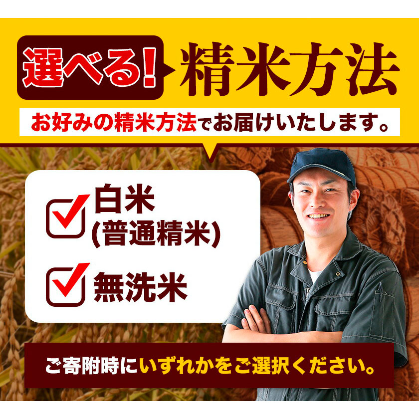熊本県御船町のふるさと納税 【3ヶ月定期便】新米 令和7年産 ひのひかり 白米 or 無洗米 《お申込み月の翌月から出荷開始》 選べる内容量 計3回お届け  白米 無洗米 熊本県産 単一原料米 ひの 熊本県 御船町