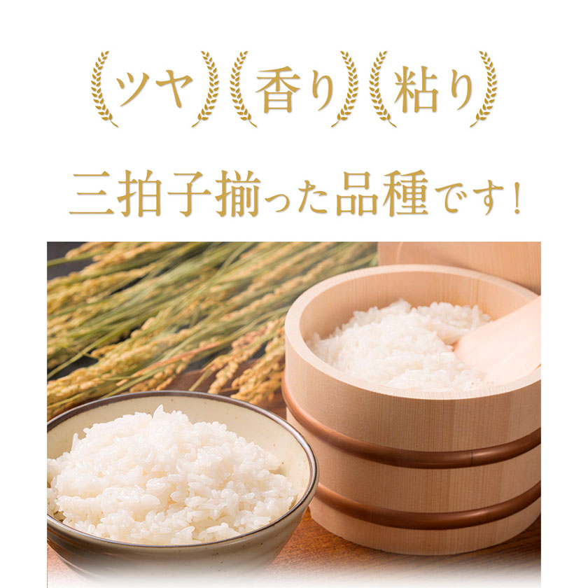 熊本県御船町のふるさと納税 【3ヶ月定期便】新米 令和7年産 ひのひかり 白米 or 無洗米 《お申込み月の翌月から出荷開始》 選べる内容量 計3回お届け  白米 無洗米 熊本県産 単一原料米 ひの 熊本県 御船町